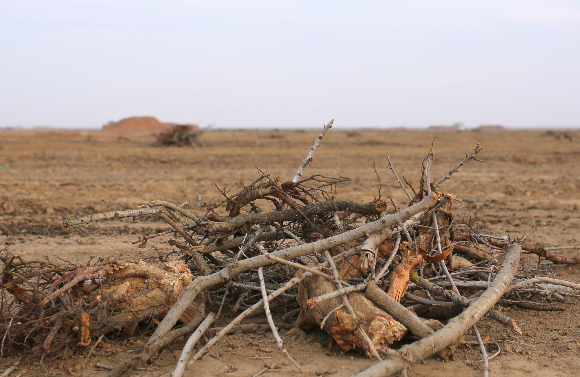 photograph of agricultural waste