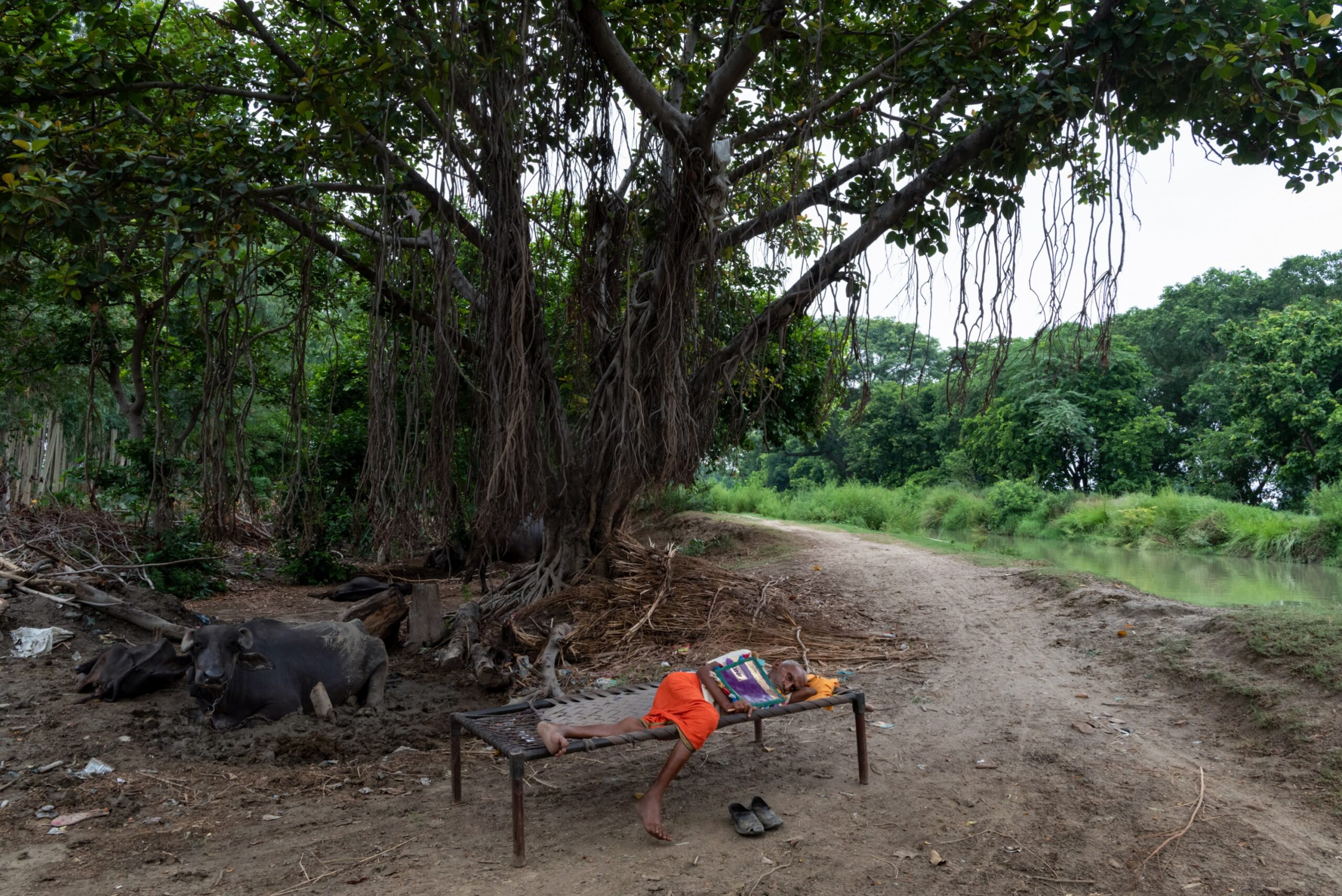 Raja Ram, 97, sleeps under a tree on a hot day