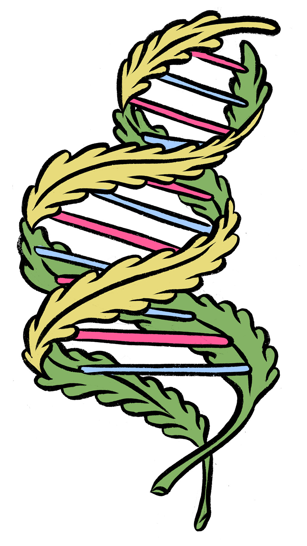 dna helix made of leaves