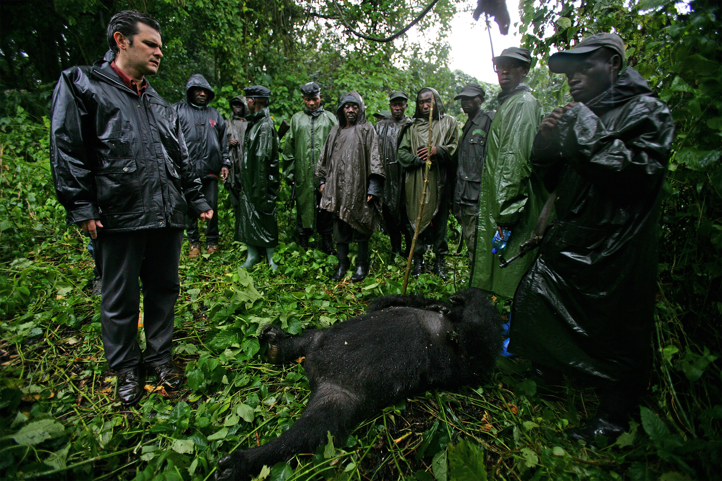 Emmanuel De Merode and rangers standing with a murdered gorilla