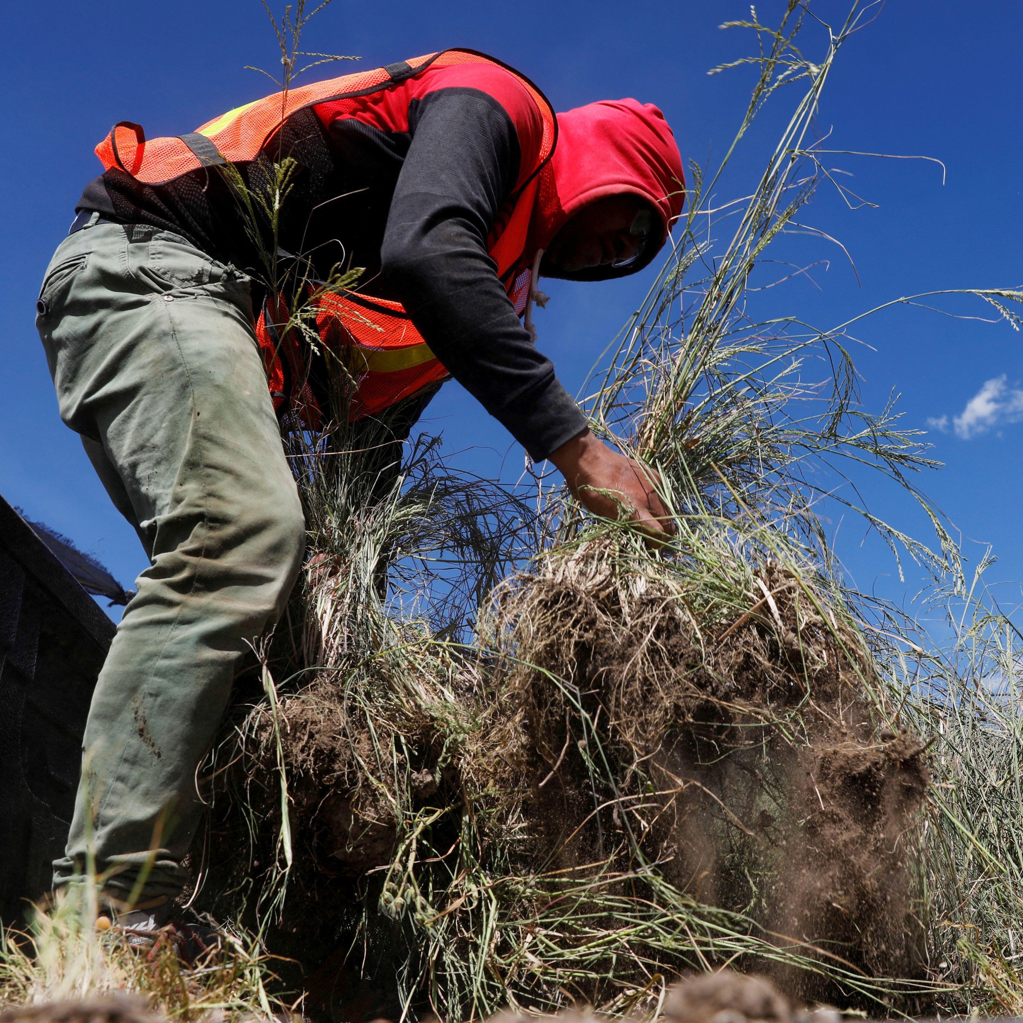 A worker prepares native plants at the garden center 