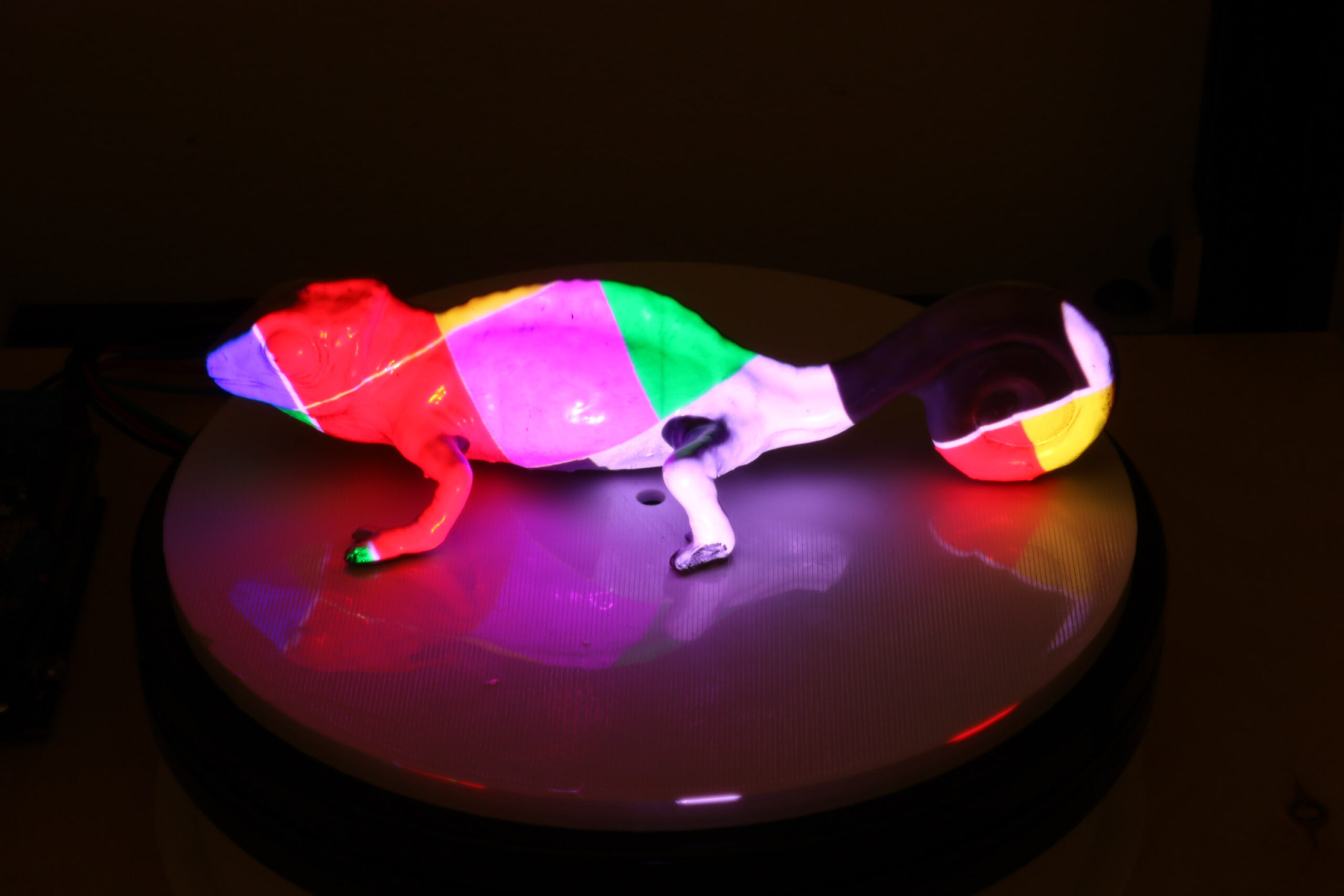 chameleon model lit up with colored sections