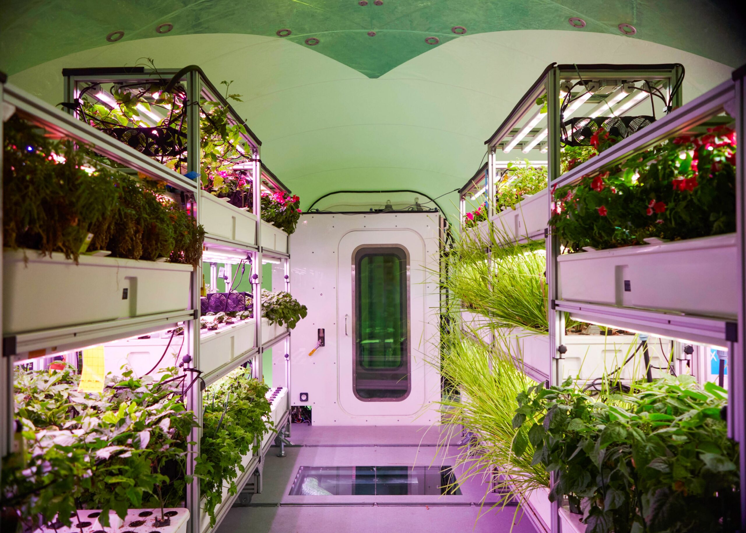 the interior of the BioPod where rows of green edible plants are lit by artificial grow lamps