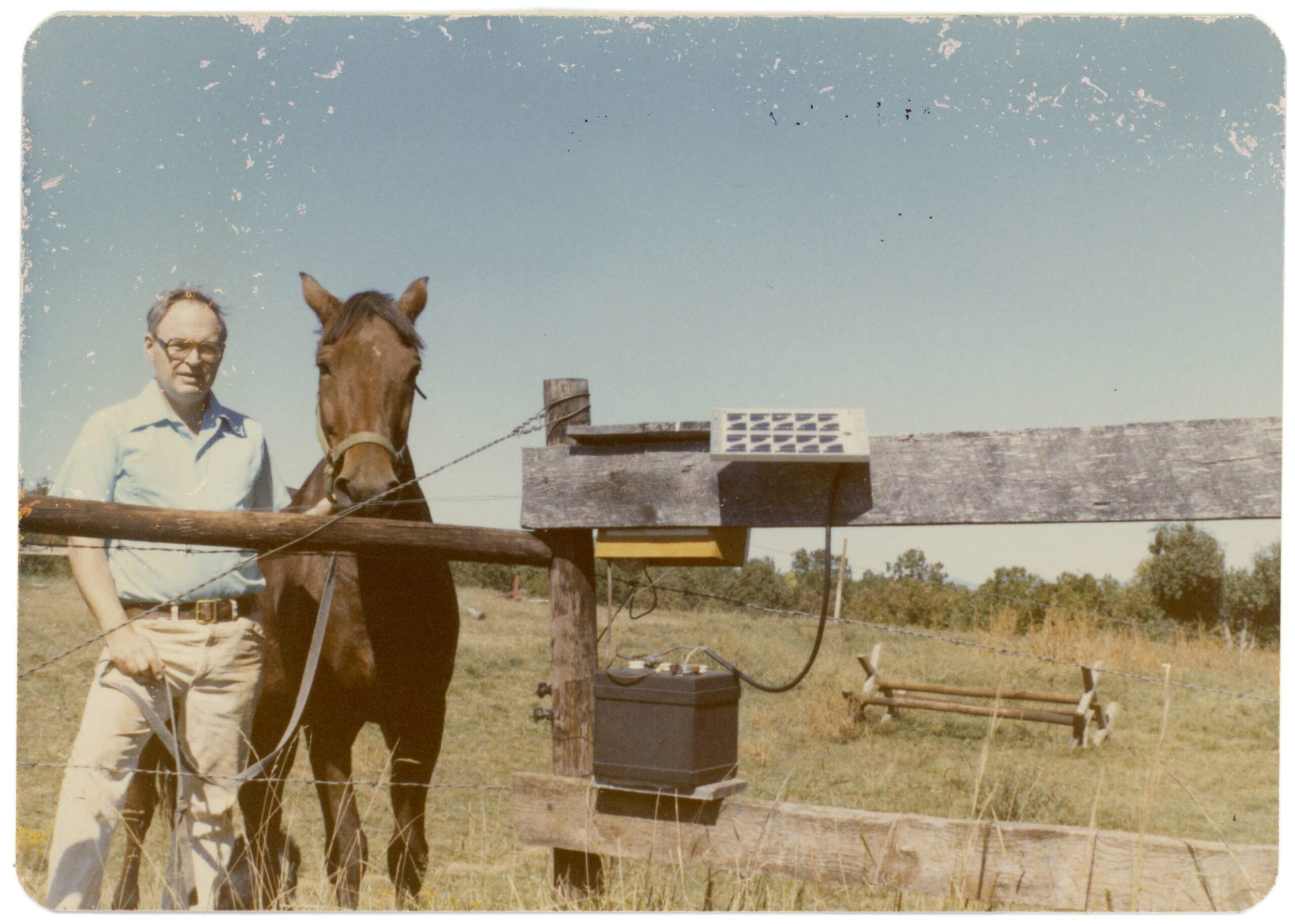 Lathrop in a field standing next to a horse