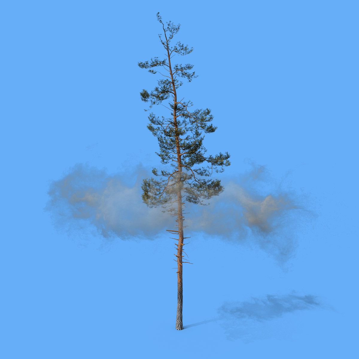 a spindly tree with a cloud of emissions hovering around it