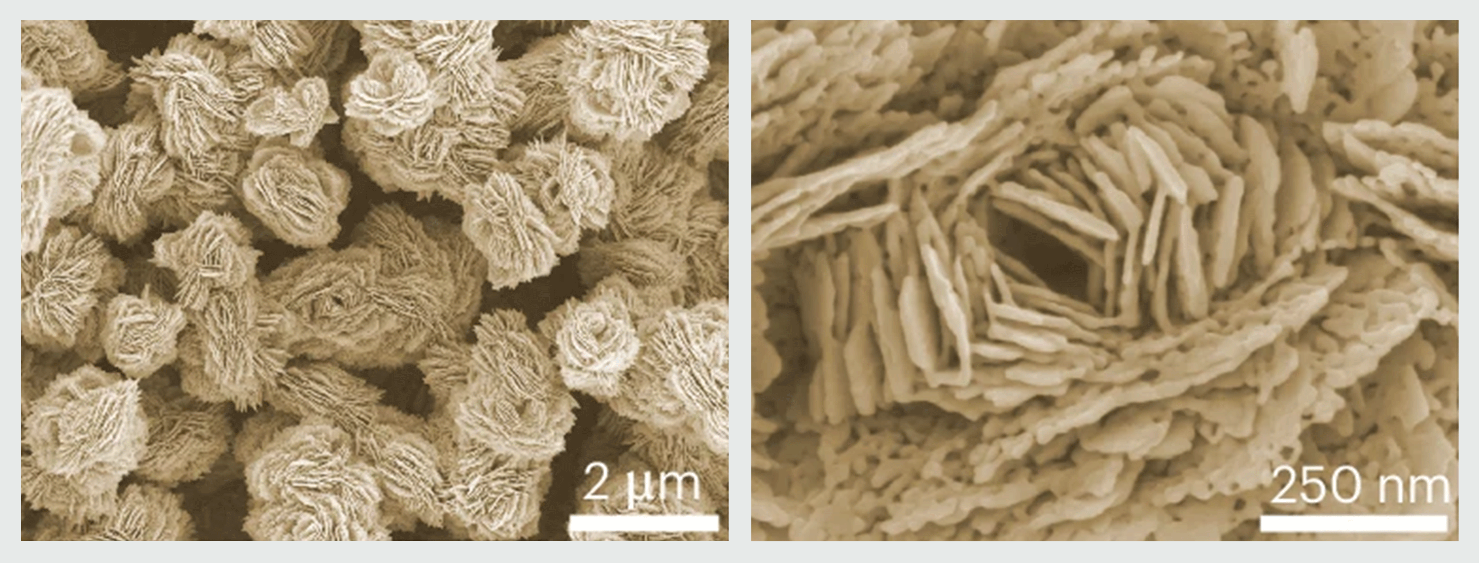 An image showing top views of the copper nanoflowers at different magnifications.